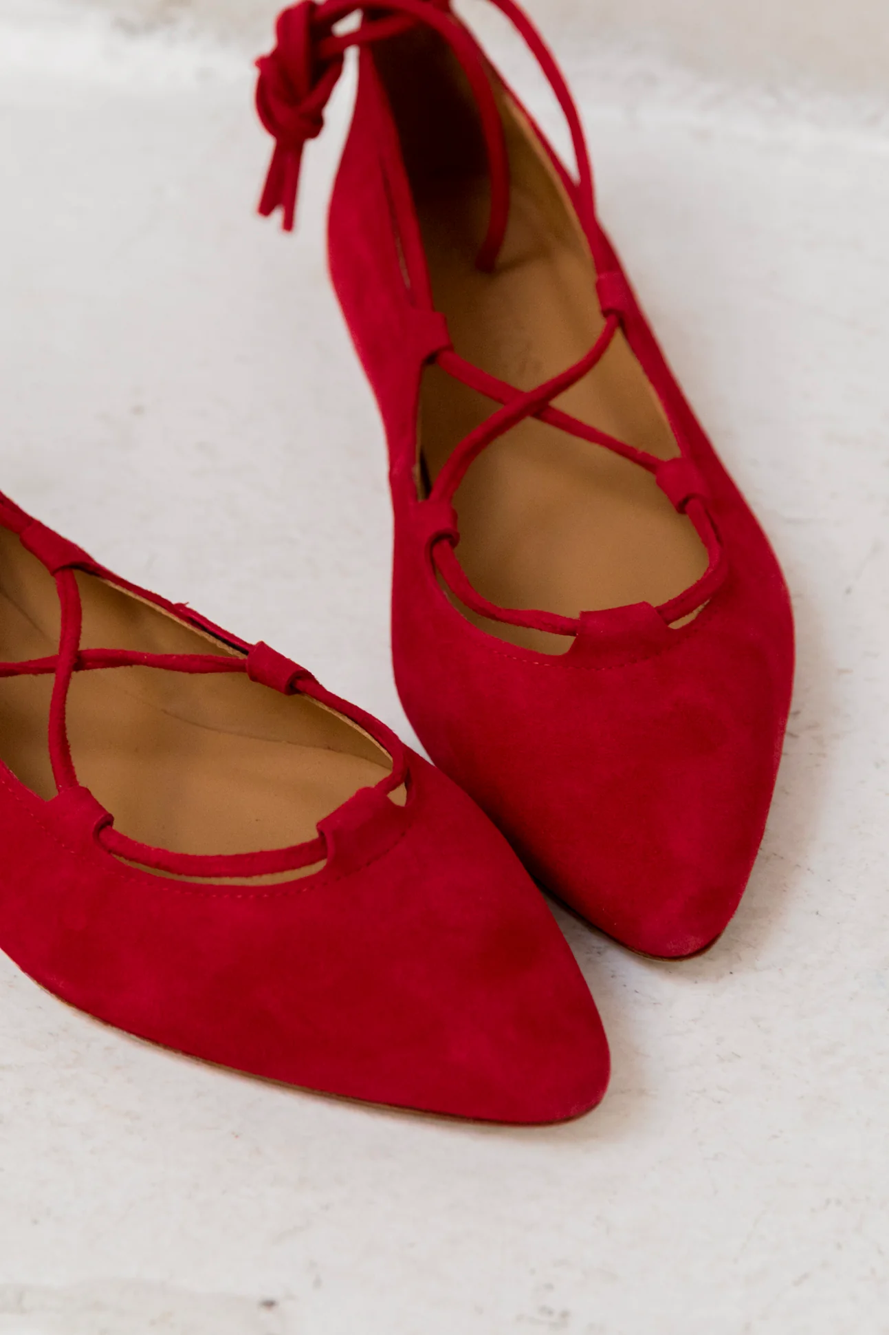 Penelope Ante Rojo - Image 4